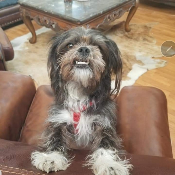 Meet your Posher, Blankenburg - Picture 10 of 15